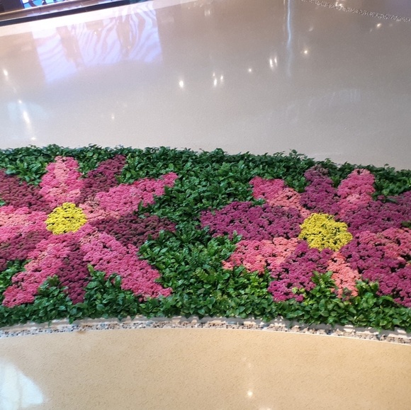 Meet your Posher, Annadel - Picture 1 of 1